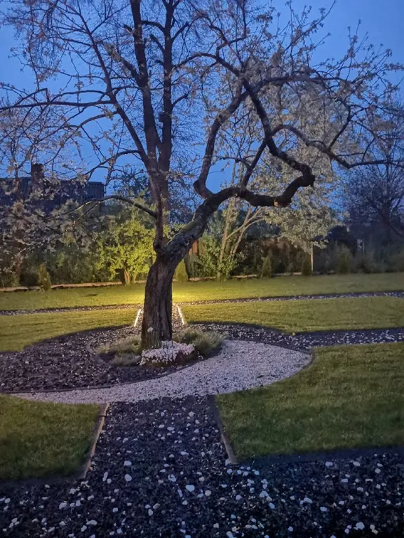 Sunchalet в лесу у Нарочи-Уединение Тишина Комфорт вблизи движ курорта