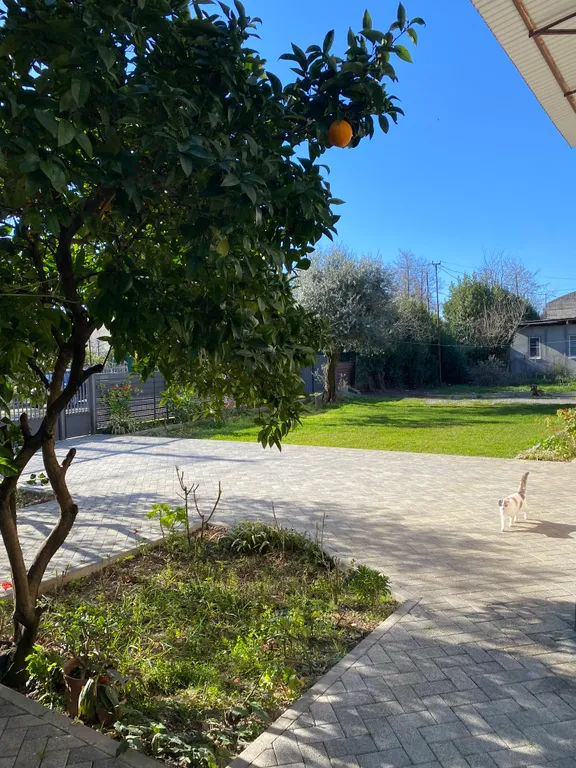 Квартира Комната — Гагра