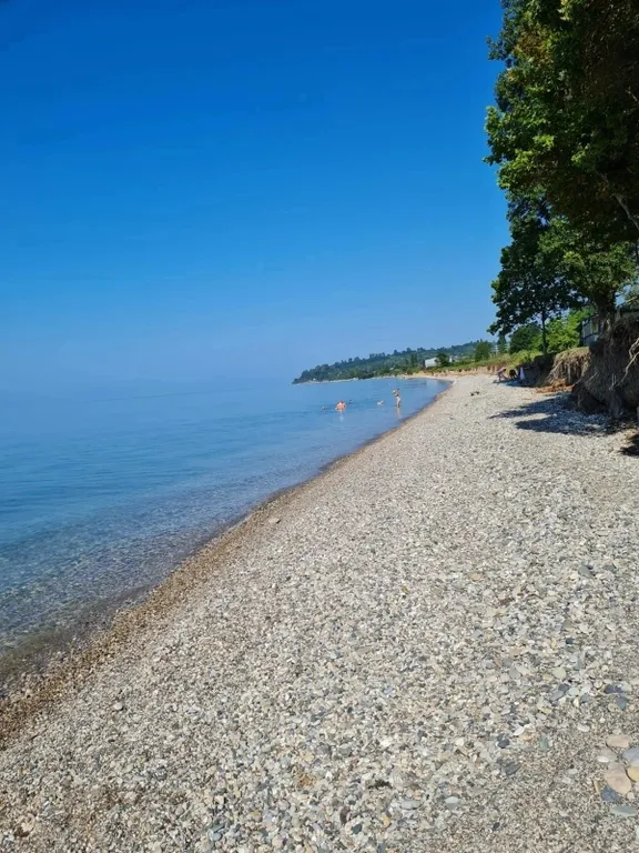 Гостевой дом «Роза»