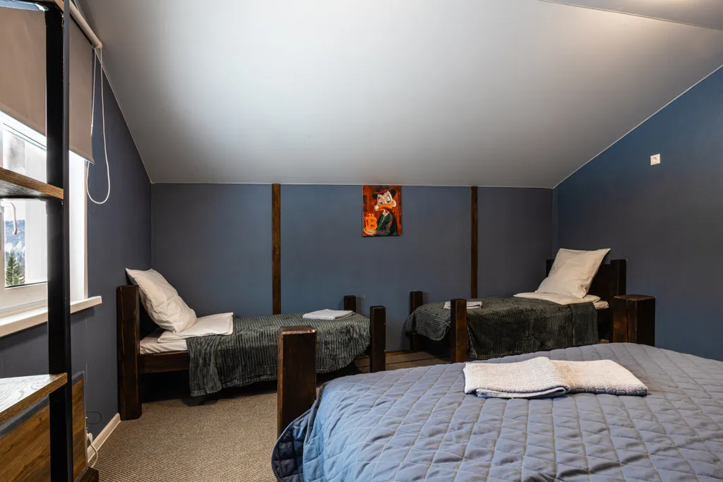 Уютный и просторный коттедж в стиле Шале