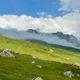 Наталья