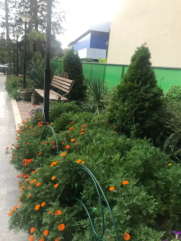 Красивый вид на море и горы в 5 минутах от пляжа