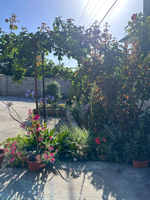 Частный сектор