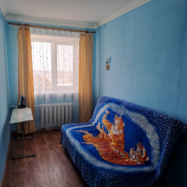 Уютная квартира с прекрасным видом на Иртыш, рядом с Кремлем