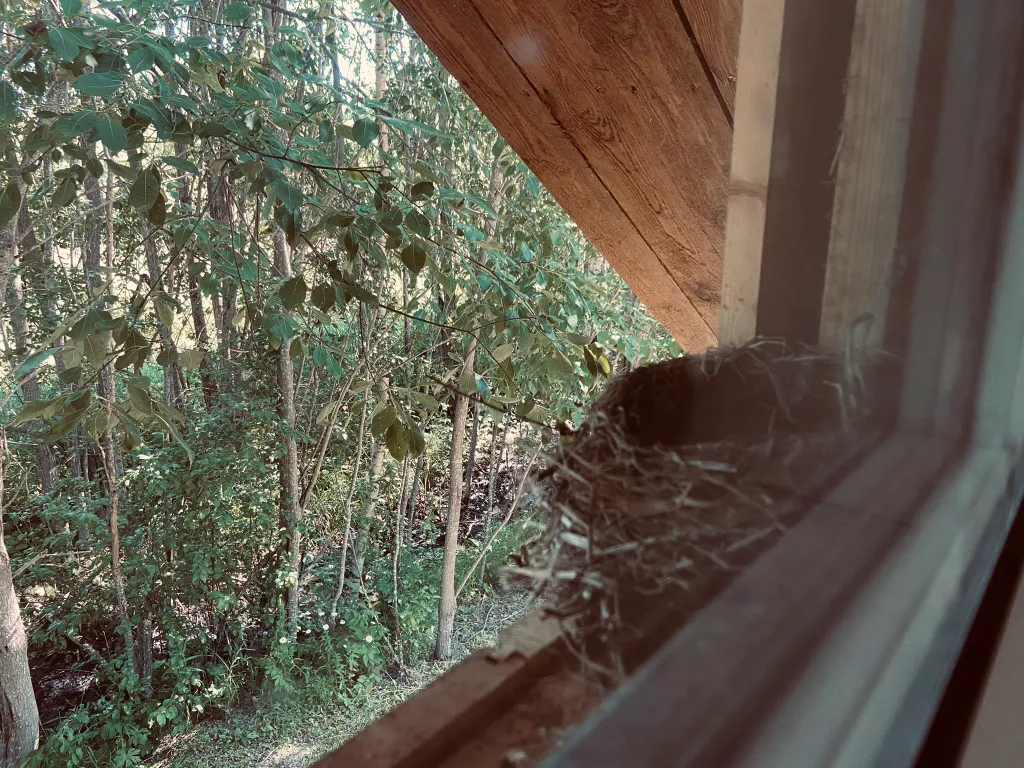 Уютный домик в самом сердце республики