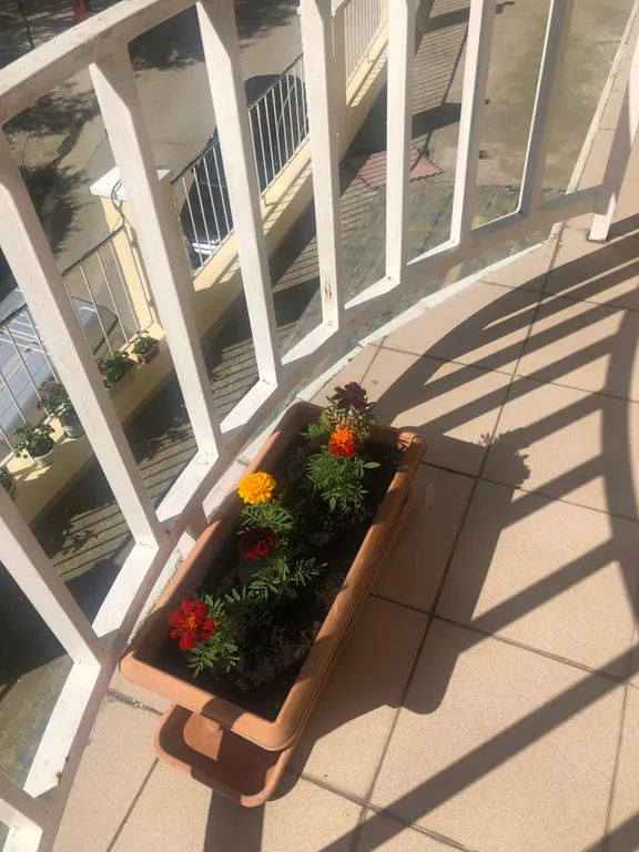 Уютная квартира в Хосте