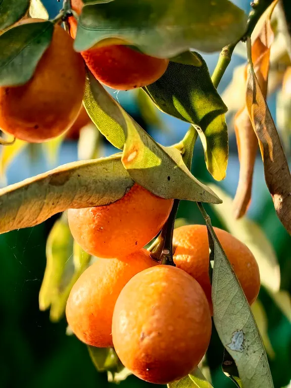 Дом под ключ в 5 минутах от моря