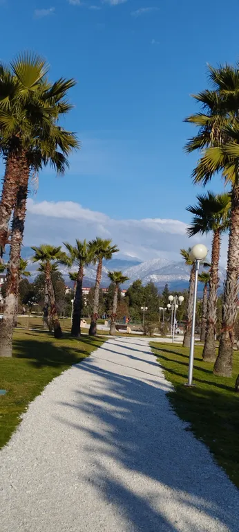 Квартира Уютная 1-комнатная квартира с видом на горы — Сириус