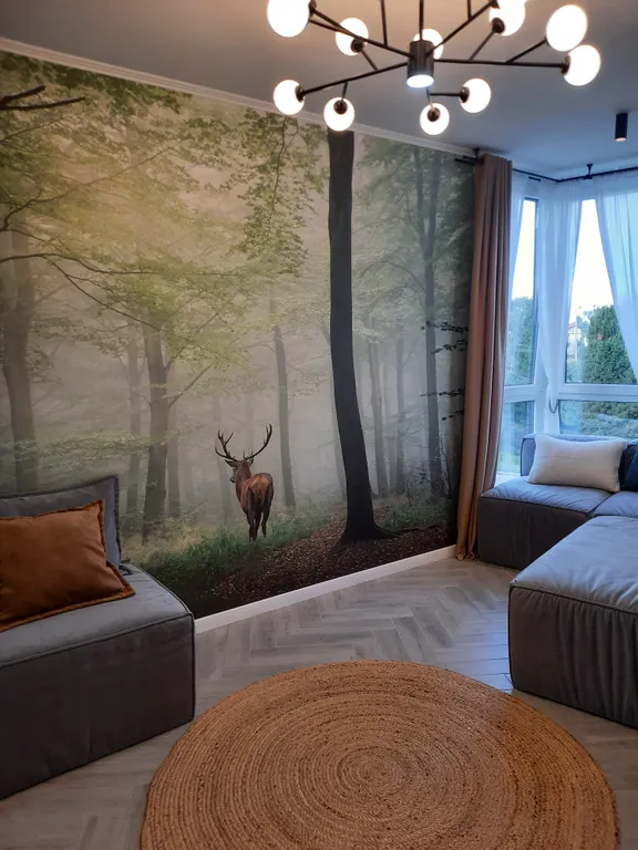 Квартира Квартира в гармонии с природой — Светлогорск