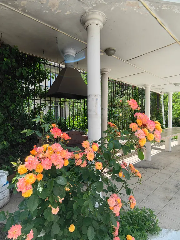 Апартамент с видом на море