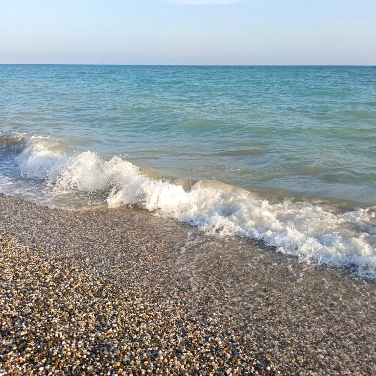 Комфортабельные аппартаменты с видом на Лебединое озеро