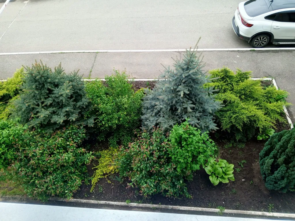 Дизайнерские апартаменты