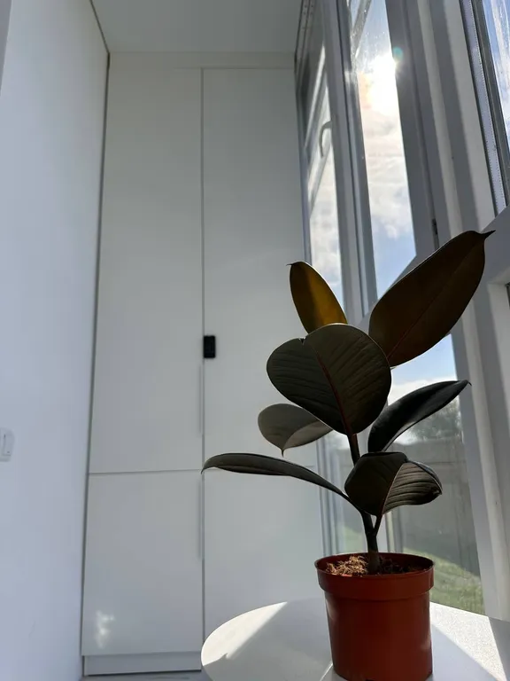 Квартира бизнес-класса