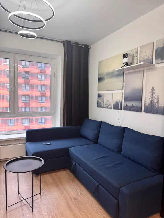 Большая квартира у аэропорта Внуково