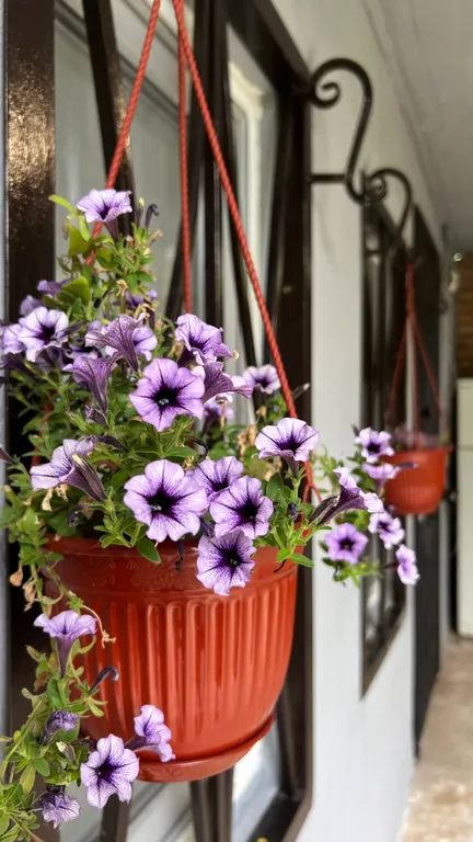 Частный сектор у Феликса