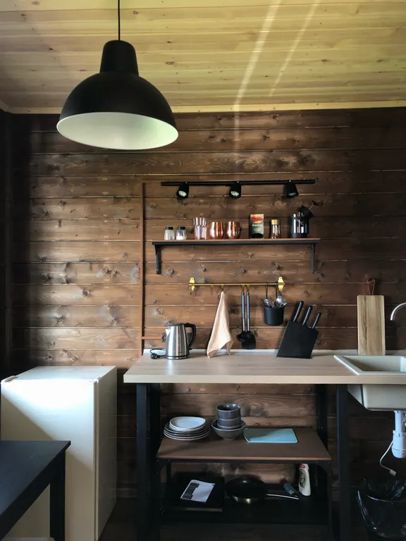 Дом-студия на берегу озера Кот и Лось