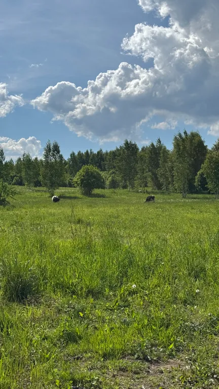 Новый барнхаус с баней в Румболово