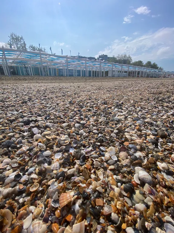 Квартира Квартира Аппартаменты 1я линия — Анапа