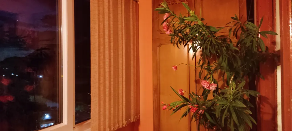 Квартира с видом на море