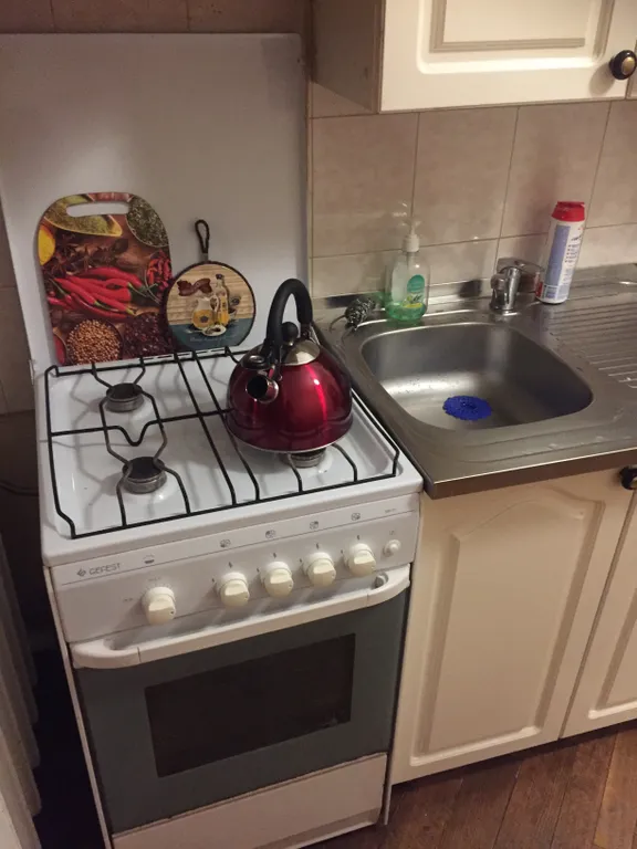 Квартира Двухкомнатная возле музея Лермонтова — аренда посуточно в Пятигорск