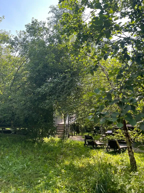 Дом в облаках у леса