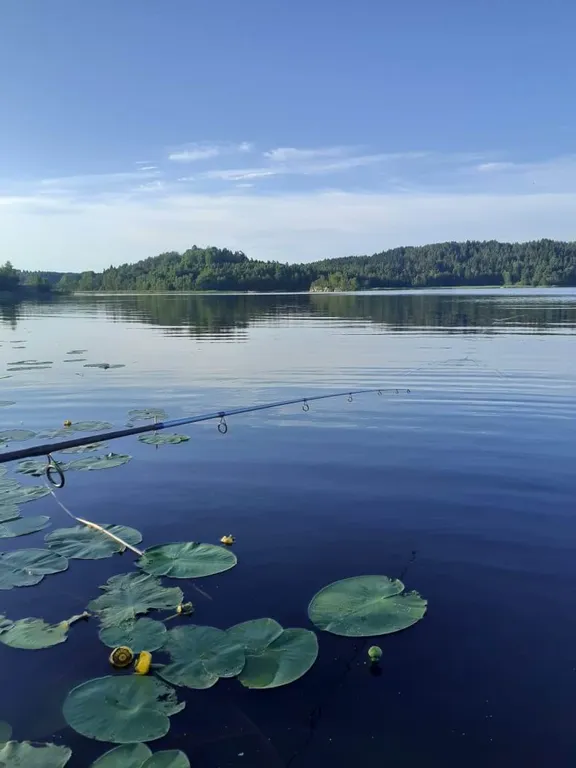 Небольшой дом на острове
