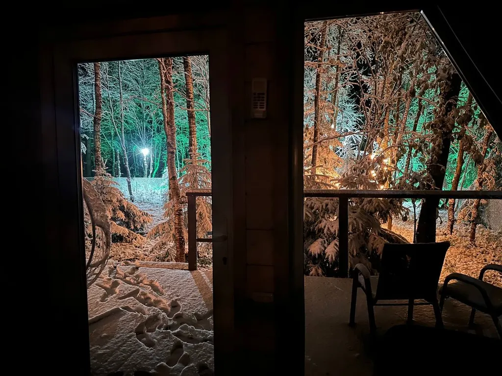 Шале в лесу в Подмосковье