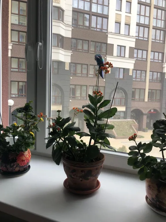 Квартира Квартира возле озера — Зеленоградск