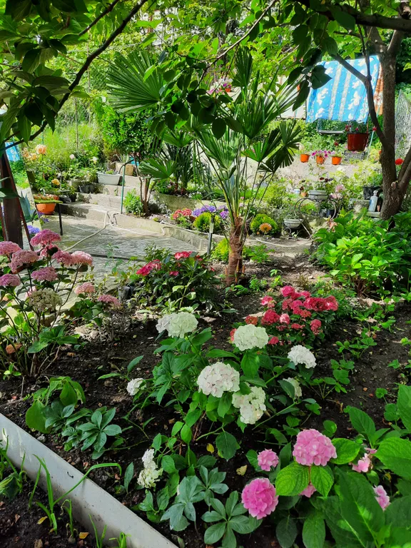 Комната в частном доме