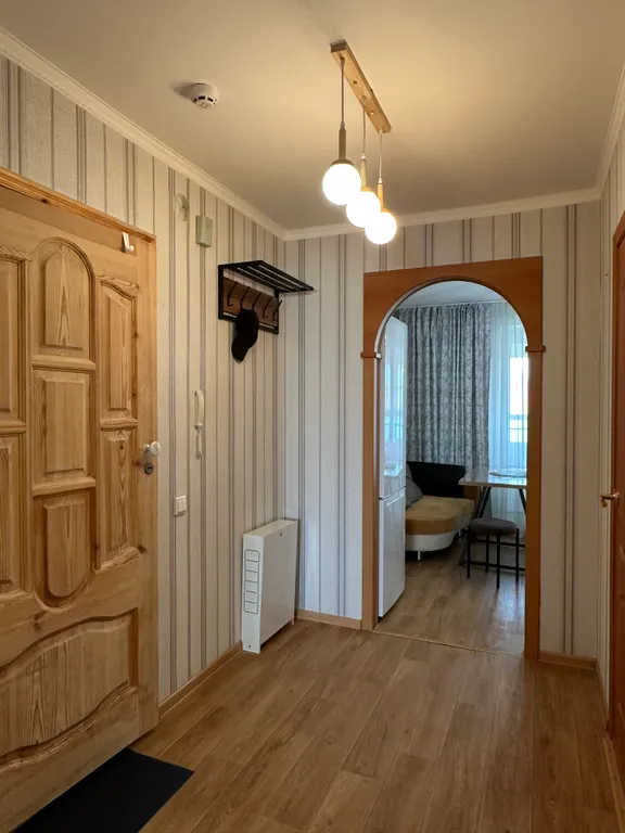 Уютная и просторная однокомнатная квартира в центре