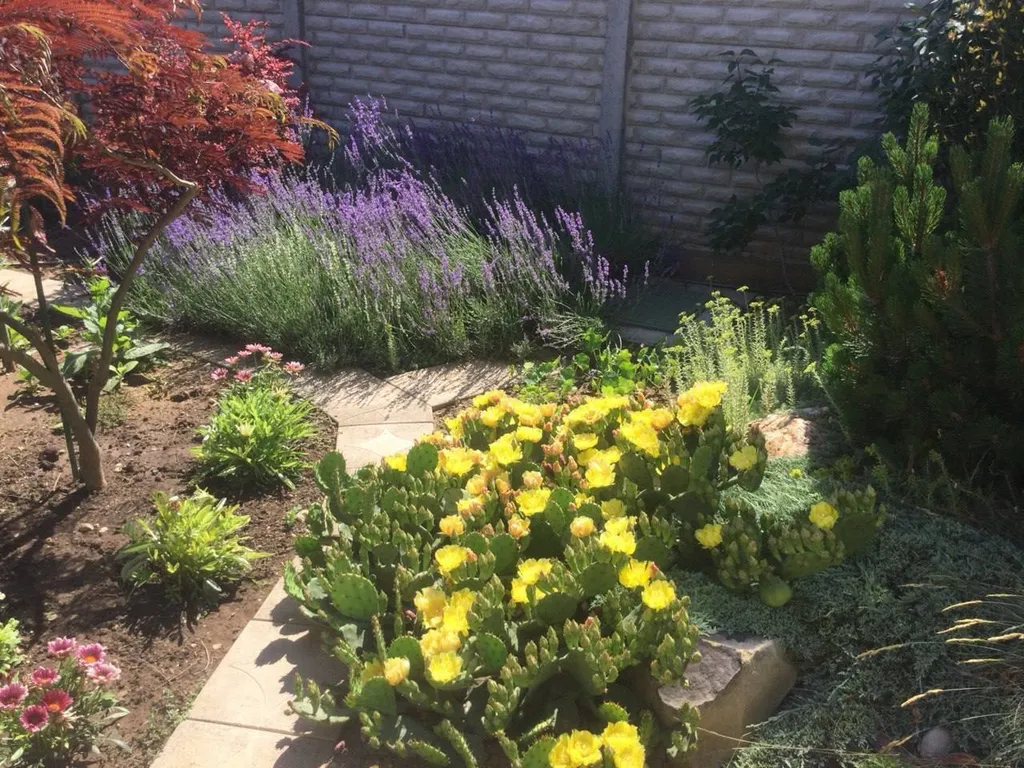 Домик Прованс