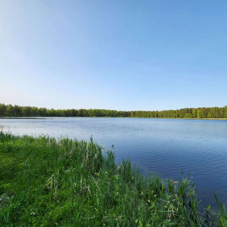 2 комнатная квартира в Решетниково