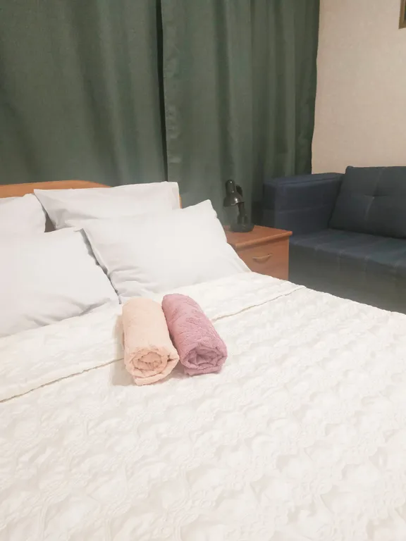 Двухкомнатная квартира в тихом центре — аренда посуточно в Муром