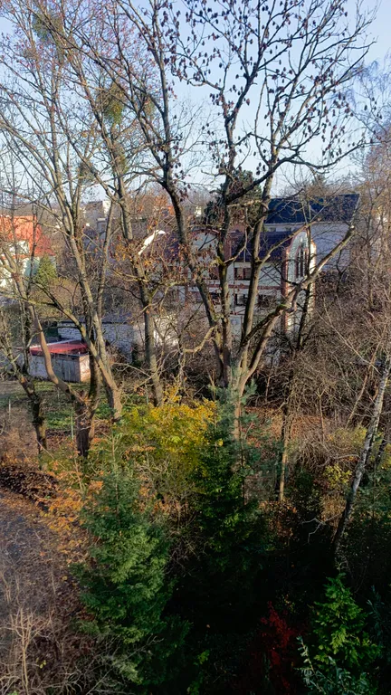 Квартира Просторные апартаменты в старинном районе города Амалиенау — Калининград