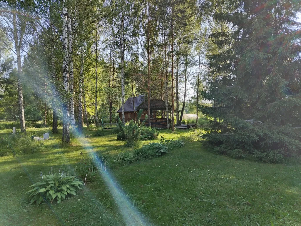 Дом на большом лесном участке