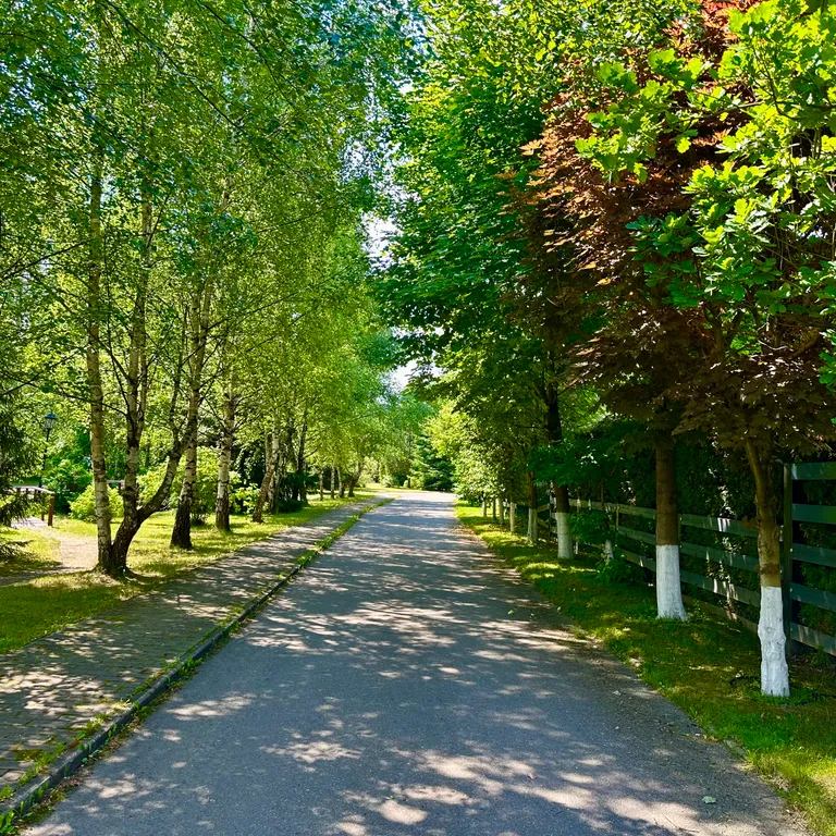 Дом с подогреваемым спортивным бассейном 13 метров на Новой Риге