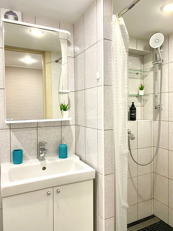 Уникальные апартаменты с выходом на кровлю ТЦ Галерея