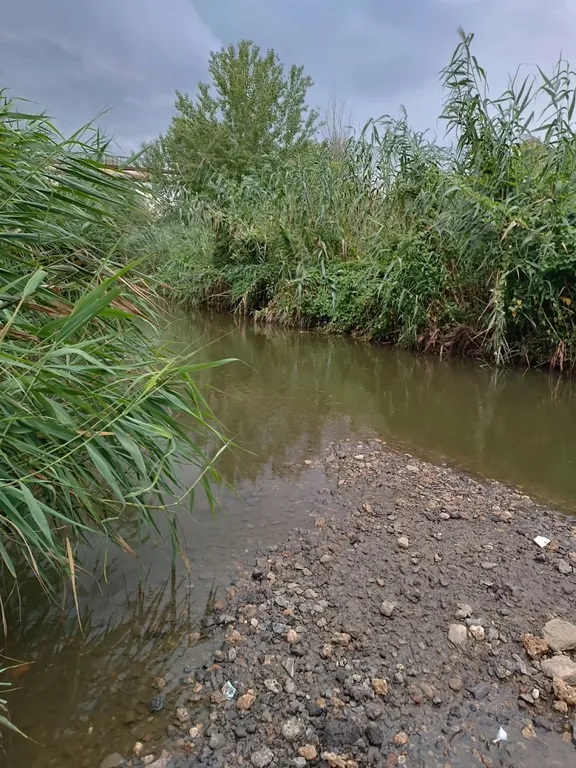 Дом-оазис природы и уюта в центре города