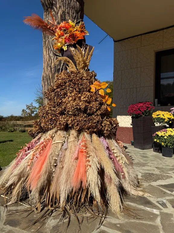 Аристова дача