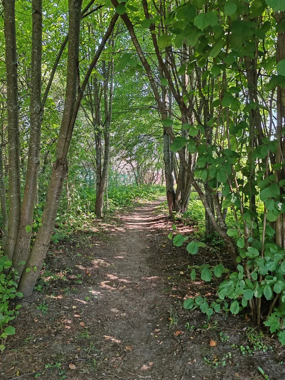 Коттедж Дом на реке Волга — Нестерово