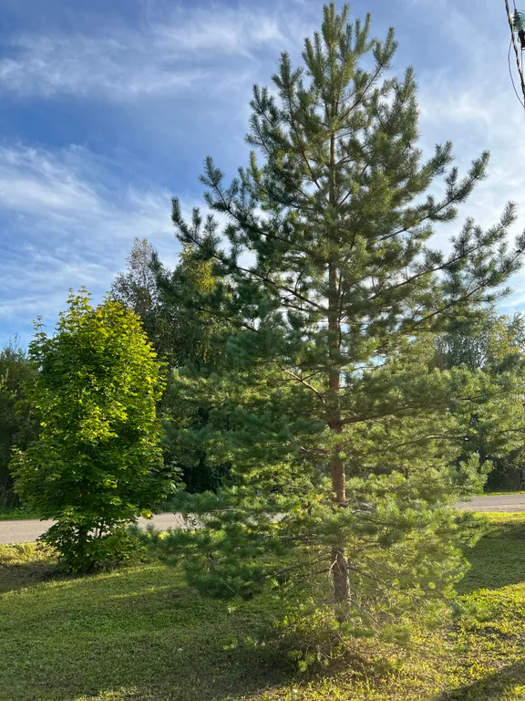 Русский дом с баней на берегу озера