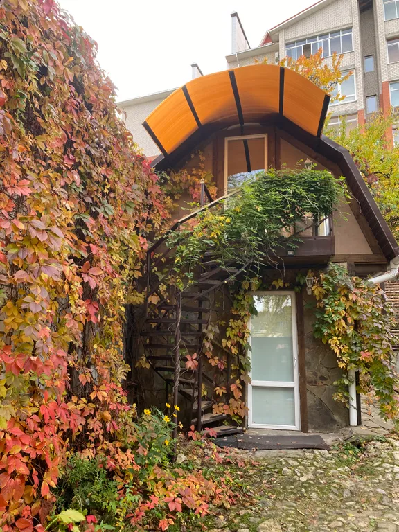 Студия в саду