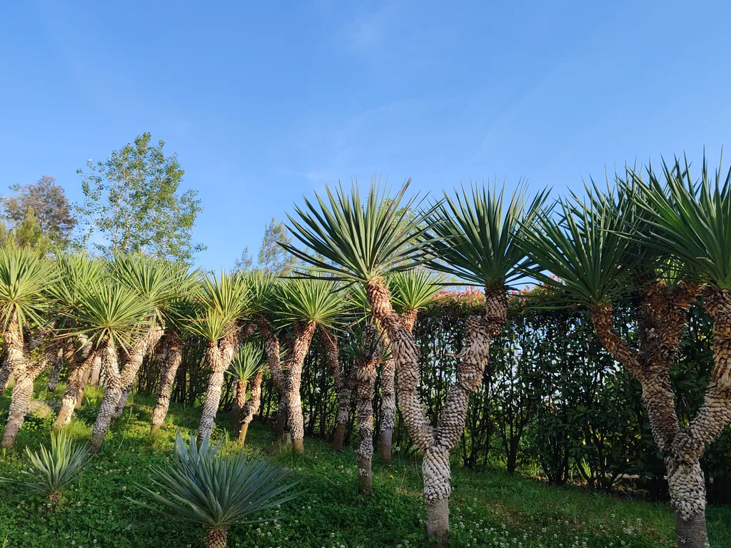 Уютная квартира рядом с морем и диким пляжем