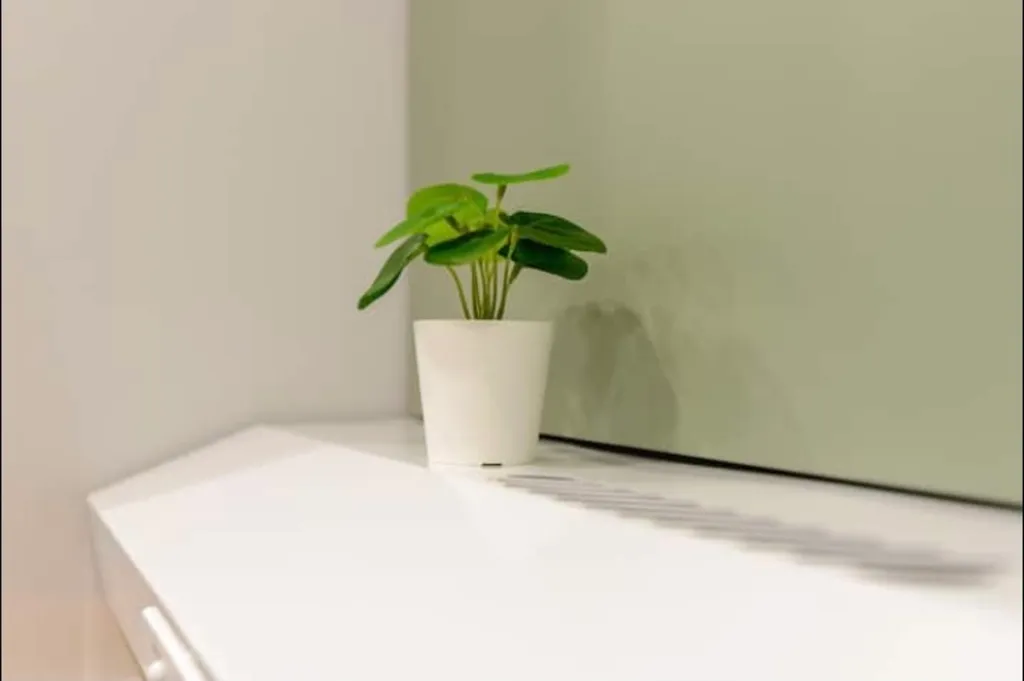 Квартира Квартира Уютная студия крокус — Песочный