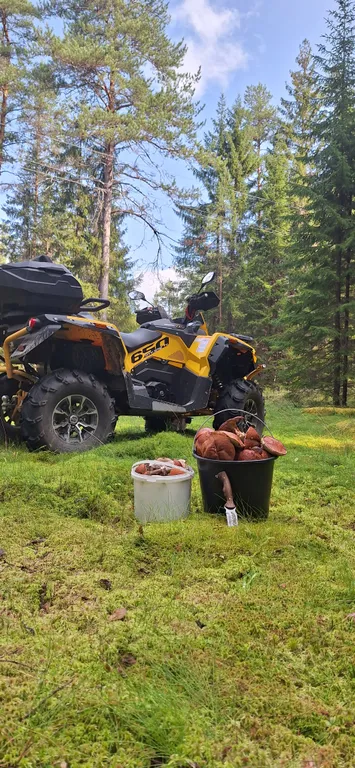 Уютный коттедж на берегу великолепного озера Ханкасъярви