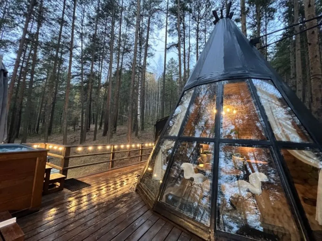 Уютные дома на берегу озера в сосновом лесу