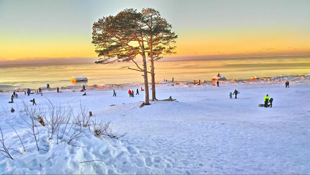Квартирa рядом со Звёздoчкой