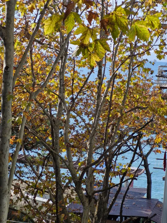 Квартира 2х комнатная квартира на первой линии — Адлер