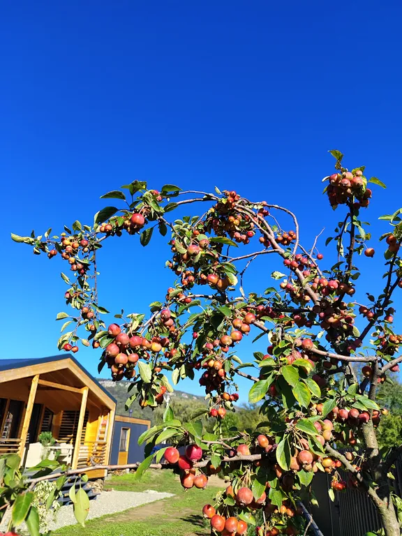 Коттедж 3-комнатный Дом — аренда посуточно в Даховская