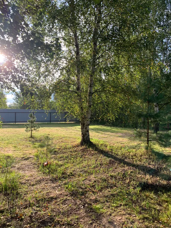 Уютный домик и баня